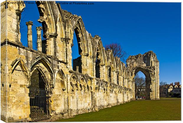 Ruins of St Marys Abbey Canvas Print by Trevor Kersley RIP
