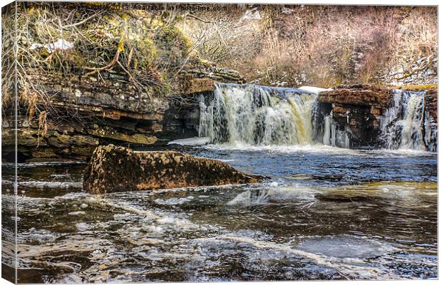 The Force at Keld Canvas Print by Trevor Kersley RIP