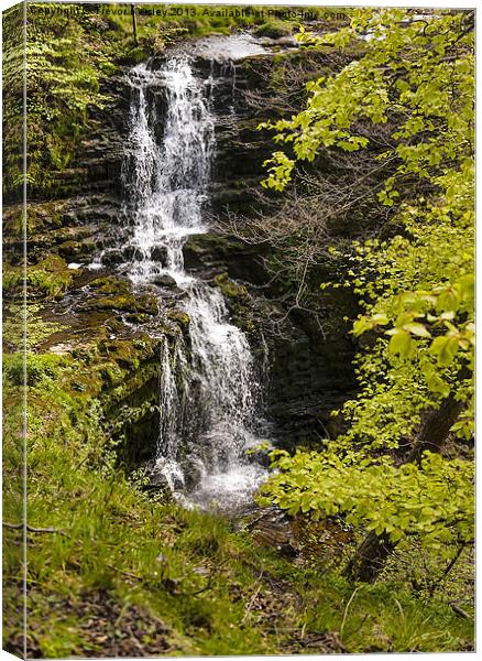 Scaleber Force Yorkshire Dales Canvas Print by Trevor Kersley RIP