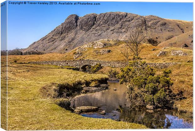 Wasdale Lake District Canvas Print by Trevor Kersley RIP