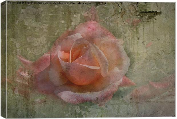 Faded Rose Canvas Print by Trevor Kersley RIP