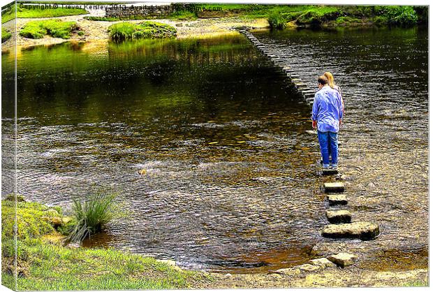 Stepping Stones Canvas Print by Trevor Kersley RIP