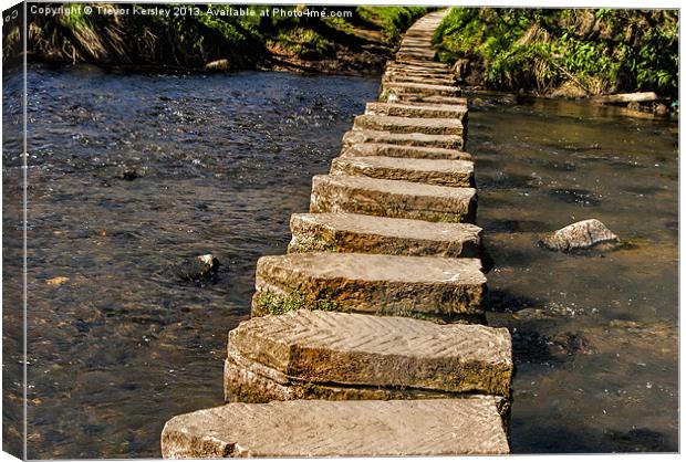 Stepping Stones at Lealholm Canvas Print by Trevor Kersley RIP