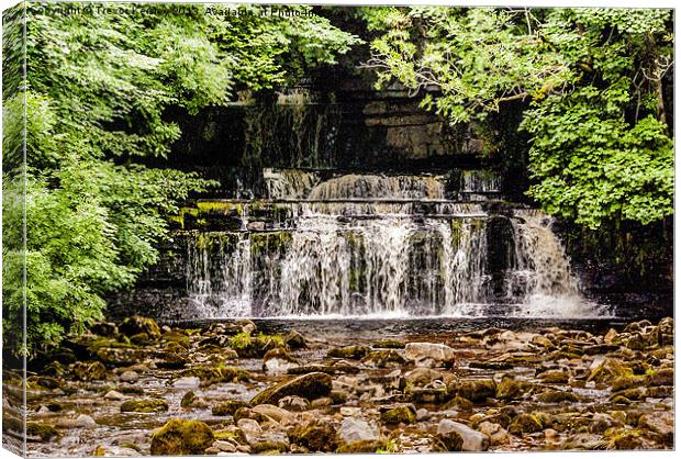 Cotter Force Yorks Dales Canvas Print by Trevor Kersley RIP