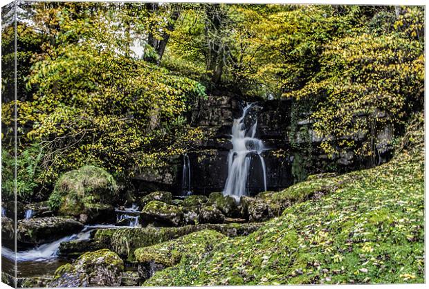 Hidden Waterfall Yorks Dales Canvas Print by Trevor Kersley RIP