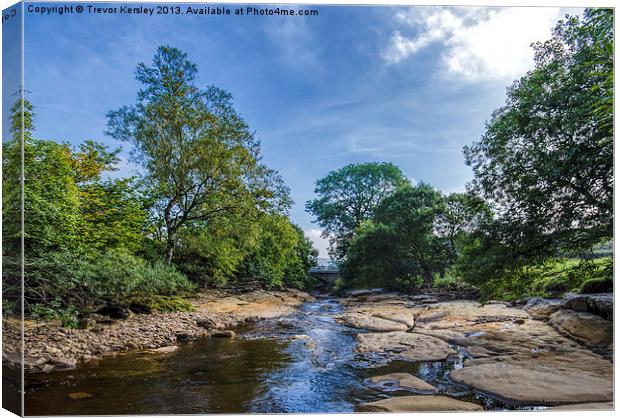 River Swale at Keld Canvas Print by Trevor Kersley RIP