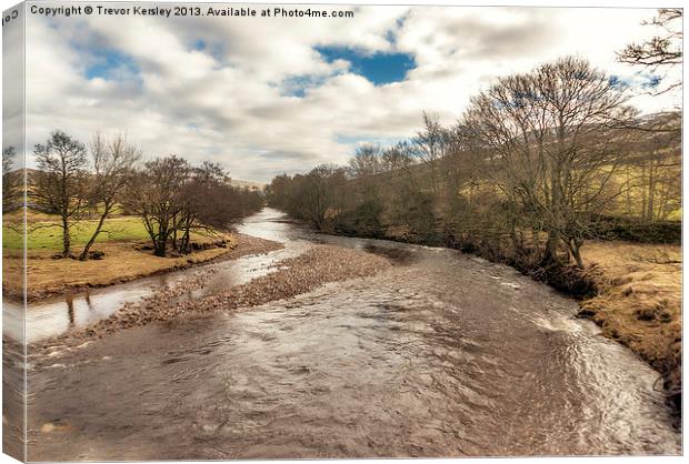 River Swale Canvas Print by Trevor Kersley RIP