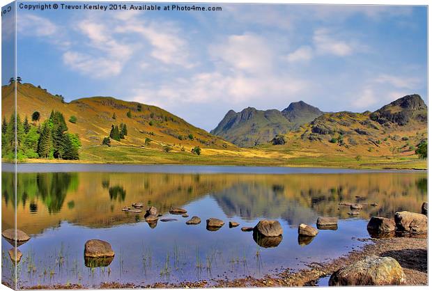 Blea Tarn Lake District Canvas Print by Trevor Kersley RIP