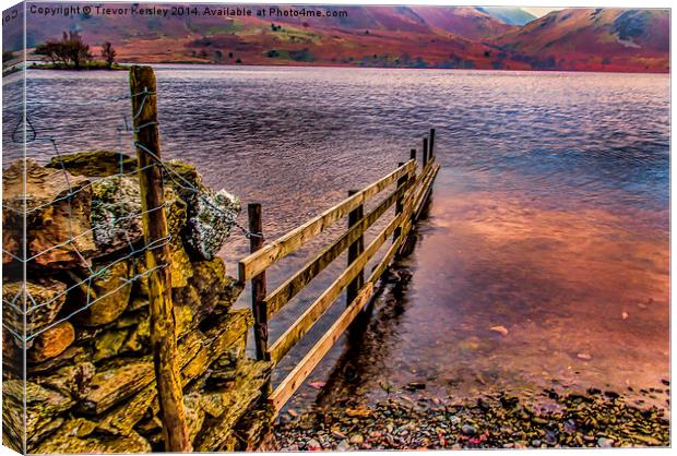 The Fence Buttermere Lake District Canvas Print by Trevor Kersley RIP