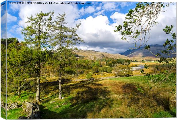 The Duddon Valley Canvas Print by Trevor Kersley RIP