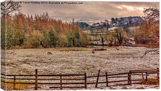 Winter in the Dales Canvas Print by Trevor Kersley RIP
