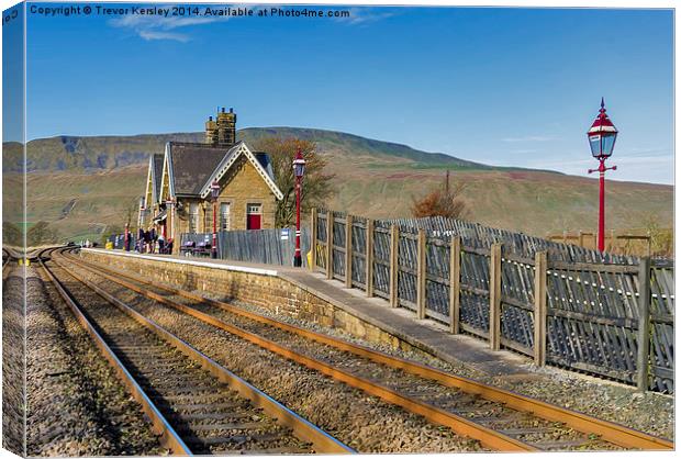 Ribblehead Station Canvas Print by Trevor Kersley RIP