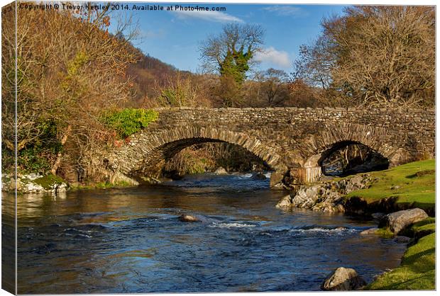 Packhorse Bridge River Duddon Canvas Print by Trevor Kersley RIP