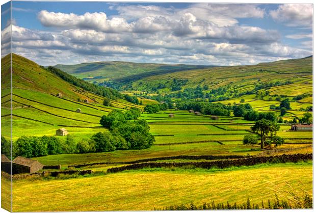 Looking Down the Dale Canvas Print by Trevor Kersley RIP