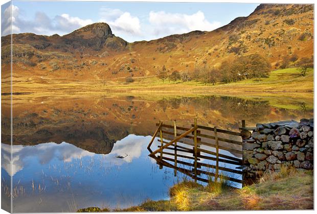 The Fence ~ Blea Tarn Canvas Print by Trevor Kersley RIP