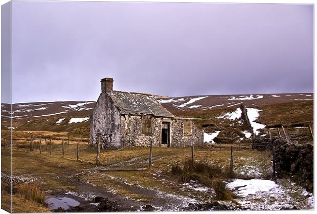 Ruin in the Dales Canvas Print by Trevor Kersley RIP