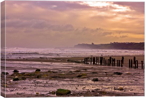 Evening Sunset Canvas Print by Trevor Kersley RIP