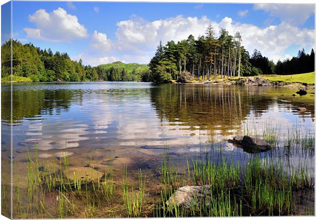 Tarn Hows, Lake District Canvas Print by Jason Connolly