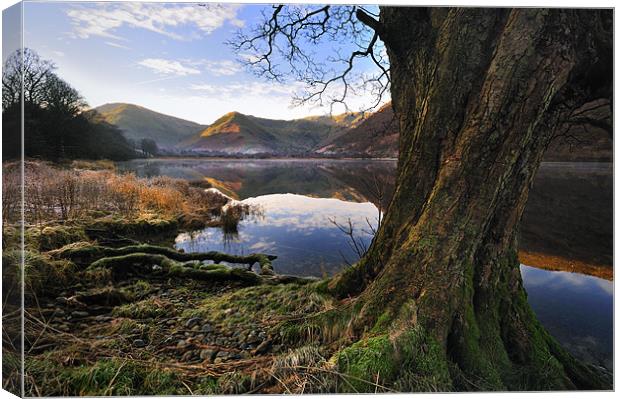 Views Of Brotherswater Canvas Print by Jason Connolly