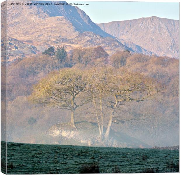 Lake District Views Canvas Print by Jason Connolly
