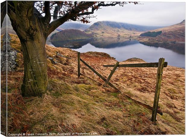Haweswater Views Canvas Print by Jason Connolly