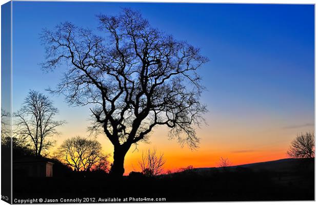 Tree At Sunrise Canvas Print by Jason Connolly