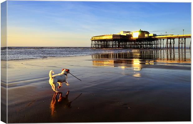 Walking The Dog Canvas Print by Jason Connolly