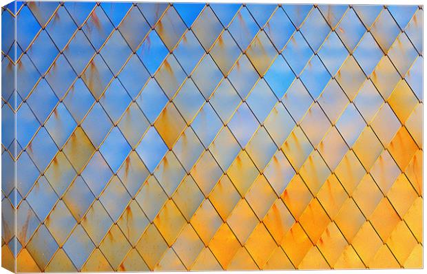 Gold Cladding Canvas Print by Jason Connolly