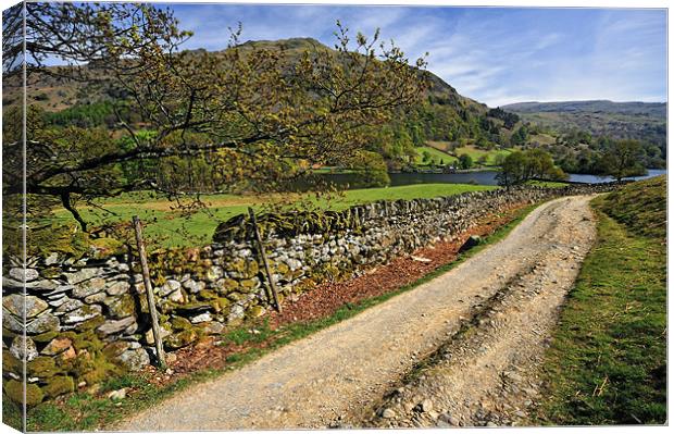 Along The Rydal Way Canvas Print by Jason Connolly