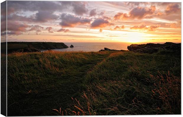 Cornish Headland Sunset Canvas Print by Jason Connolly