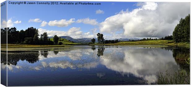 Wise Een Tarn Canvas Print by Jason Connolly