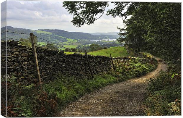 The Lane To Hawkshead Canvas Print by Jason Connolly