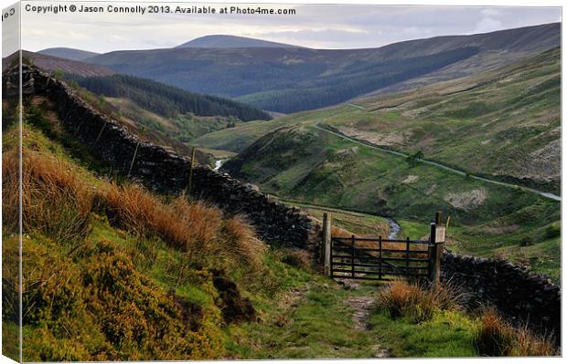 Dunsop Valley Canvas Print by Jason Connolly