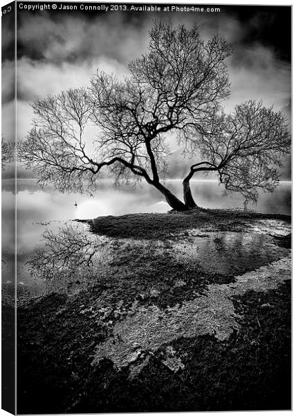 The Old Tree Ullswater Canvas Print by Jason Connolly
