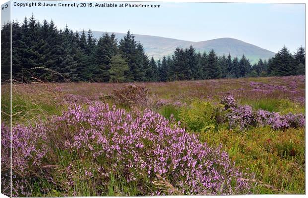  Beacon Fell Views Canvas Print by Jason Connolly