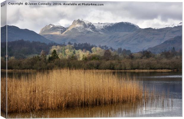 Elterwater Canvas Print by Jason Connolly