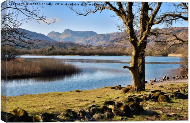 Elterwater, Cumbria Canvas Print by Jason Connolly