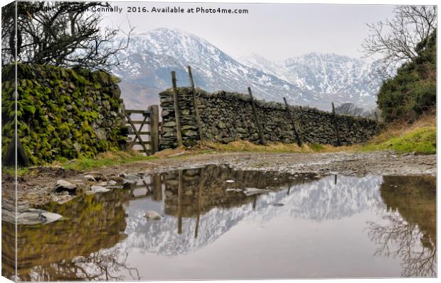 Little Langdale Reflections Canvas Print by Jason Connolly