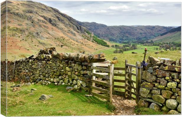 Great Langdale valley Canvas Print by Jason Connolly