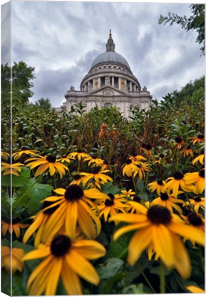 St Paul's Cathedral Canvas Print by Jason Connolly