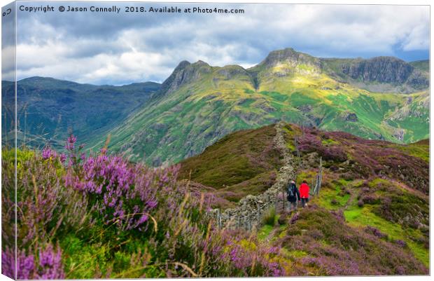 Lingmoor Fell Views Canvas Print by Jason Connolly