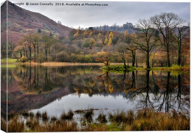 Rydalwater, Cumbria. Canvas Print by Jason Connolly