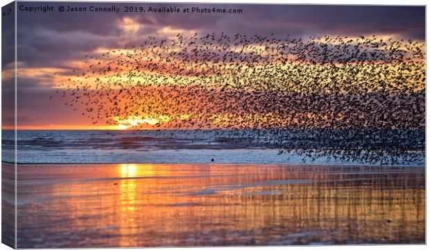 Starlings At Sunset Canvas Print by Jason Connolly