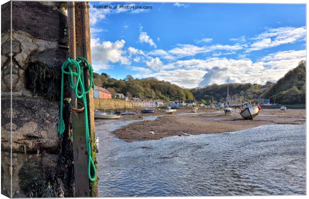 Lower Fishguard, Pembrokeshire Canvas Print by Jason Connolly