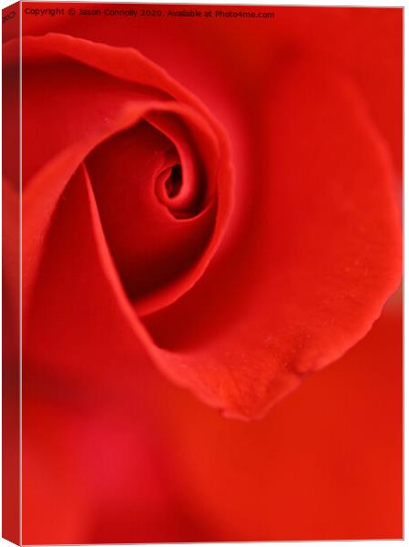 Roses Are Red. Canvas Print by Jason Connolly