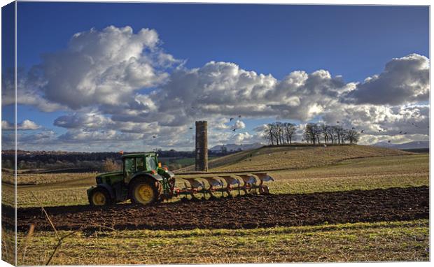 Tilling the Soil Canvas Print by Tom Gomez