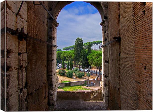 View from the Colosseum Canvas Print by Tom Gomez