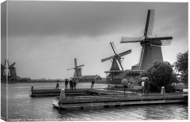 Windmills on the River Zaan B&W Canvas Print by Tom Gomez