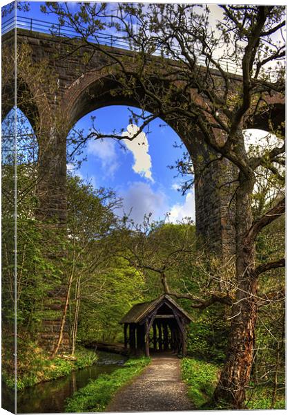 Under the Viaduct Canvas Print by Tom Gomez