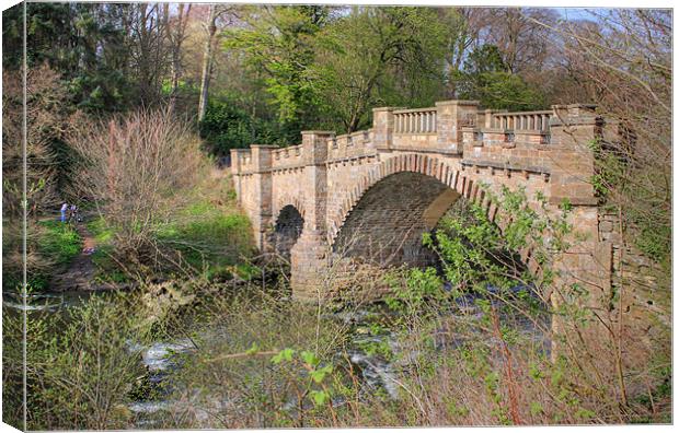 Almondell Old Bridge Canvas Print by Tom Gomez